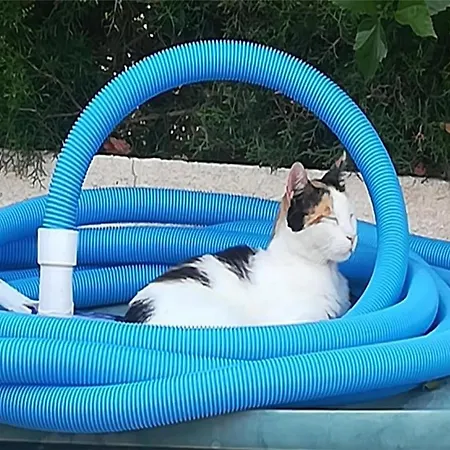 Sunset Boutique Alloggio in famiglia