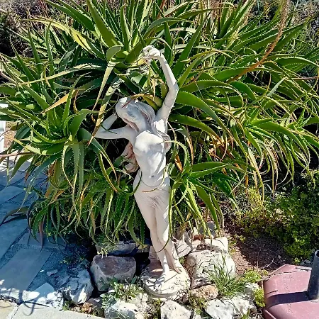 Homestay Sunset Boutique Paphos