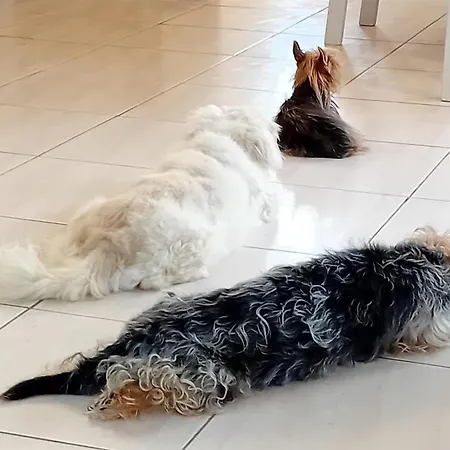 Homestay Sunset Boutique *