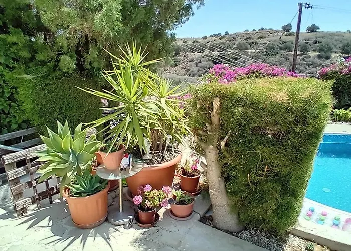 Sunset Boutique ホームステイ *