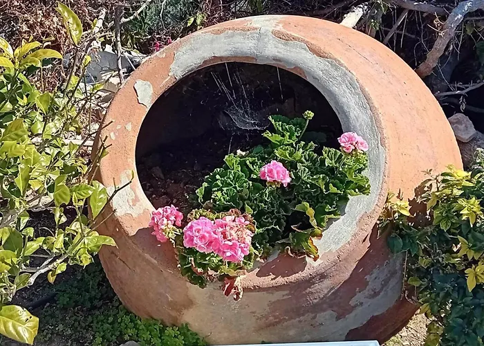 Sunset Boutique * Paphos