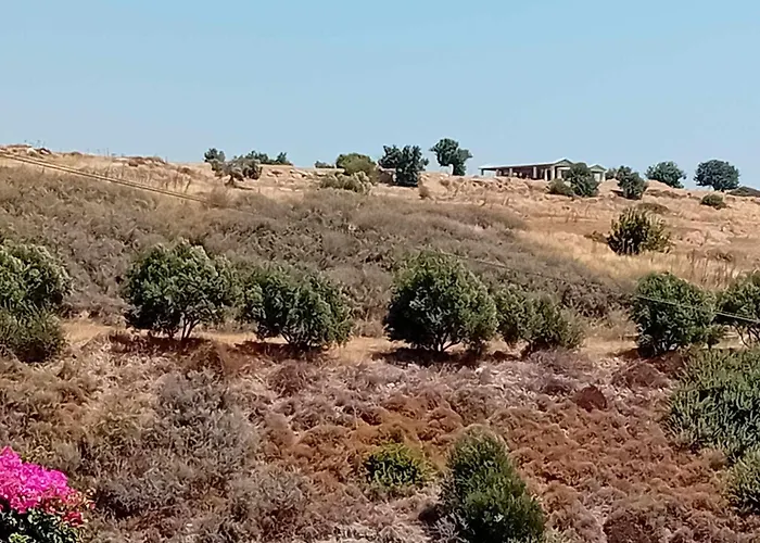 Sunset Boutique * パ フォス