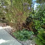 Sunset Boutique Homestay szállás Paphos