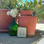 Δωμάτια σε οικογενειακή κατοικία Sunset Boutique Πάφος